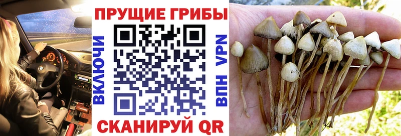 Псилоцибиновые грибы мухоморы Ахтубинск